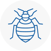 Bed Bug Extermination In Longdendale